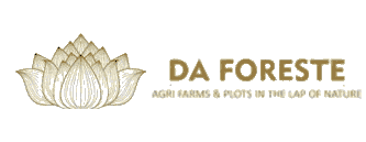 Da Fareste logo